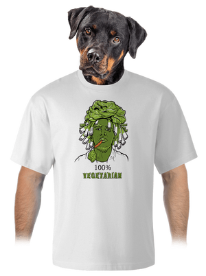 unisex tričko oversized