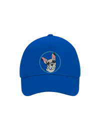 šiltovka baseballka