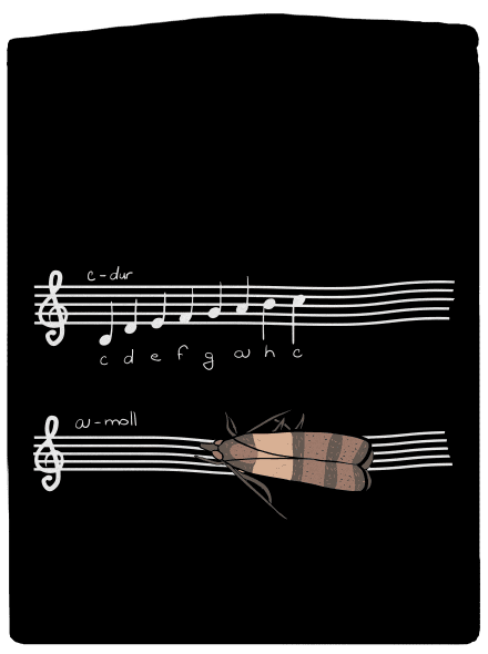 A - moll dámska mikina na zips Black