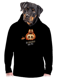 pánska mikina klokanka