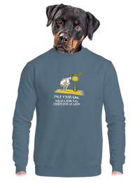 unisex mikina bez kapucne