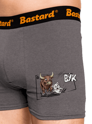 Mačací horoskop: Býk boxerky Gray Melange