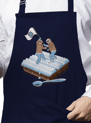 Polárna expedícia zástera Navy