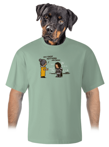 You Know Nothing unisex tričko oversized Sage