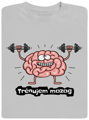 Trénujem mozog  pánske tričko Pacific Grey