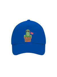 šiltovka baseballka