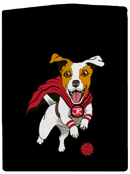 Jack Russell dámska mikina na zips Black