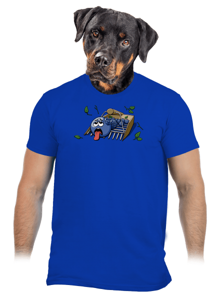Čučoriedky pánske tričko Royal Blue