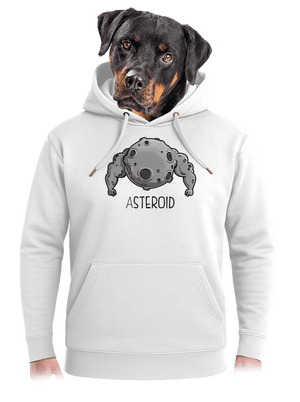 Asteroid unisex mikina premium Snowwhite
