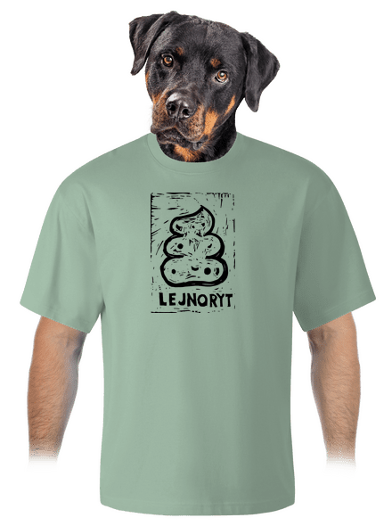 Lejnoryt unisex tričko oversized Sage