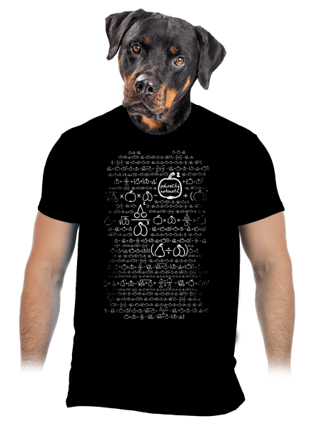 Matematik pánske tričko Black