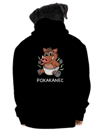 pánska mikina na zips