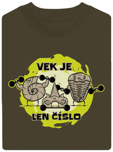 Vek je len číslo unisex mikina bez kapucne Urban Khaki