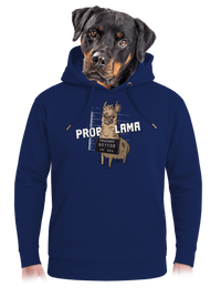 unisex mikina premium