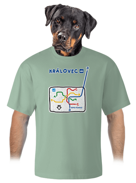 Metro Královec unisex tričko oversized Sage