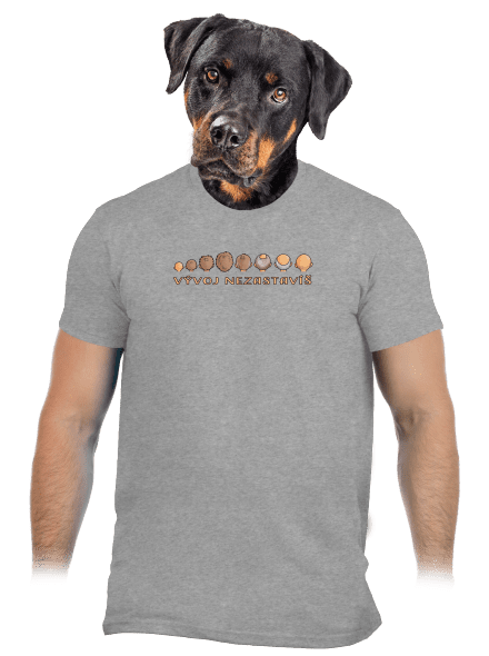 Vývoj nezastavíš pánske tričko Sport Grey