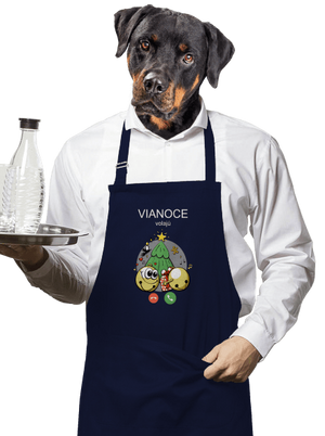 Vianoce volajú zástera Navy