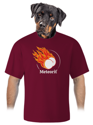 Meteoriť unisex tričko oversized Garnet