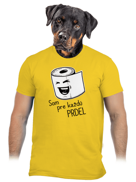 Prdel pánske tričko Gold