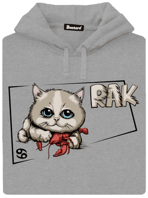 Mačací horoskop: Rak pánska mikina klokanka Light Melange