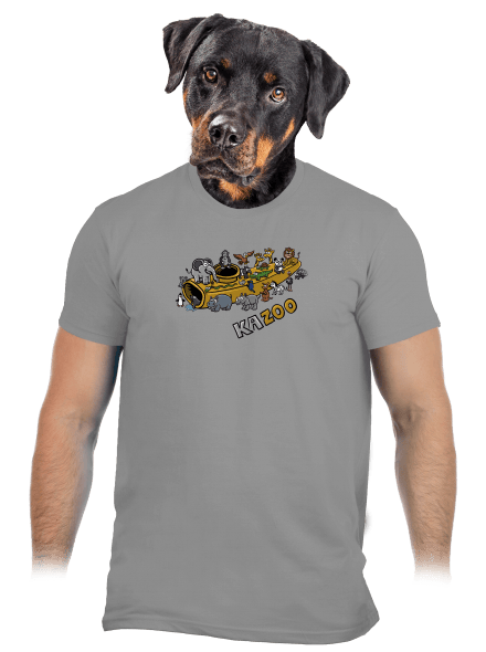 KaZoo pánske tričko Sport Grey