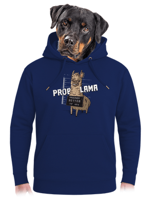 unisex mikina premium