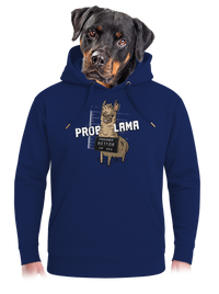 unisex mikina premium