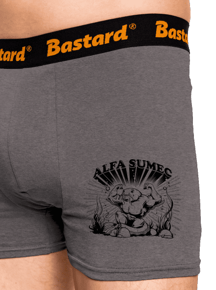 Alfasumec boxerky Gray Melange