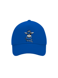 šiltovka baseballka