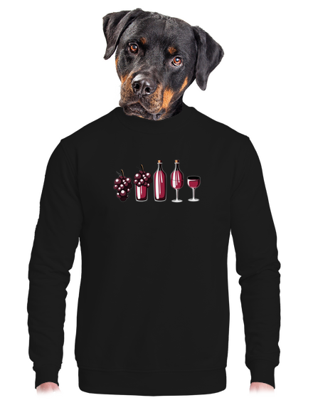 Evolúcia červeného vína unisex mikina bez kapucne Black