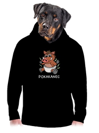 pánska mikina klokanka