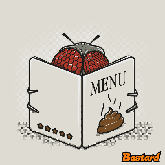 Gastro mucha