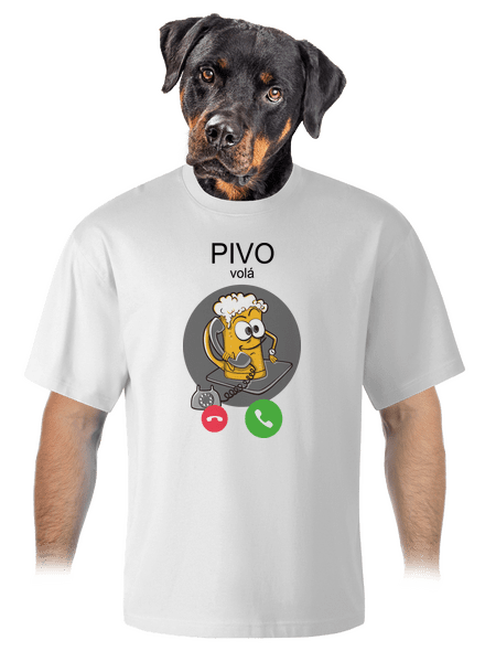 Pívo volá unisex tričko oversized White