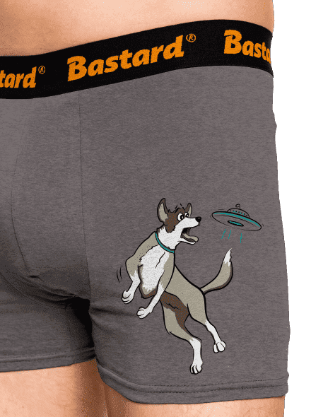 Lietajúci tanier boxerky Gray Melange