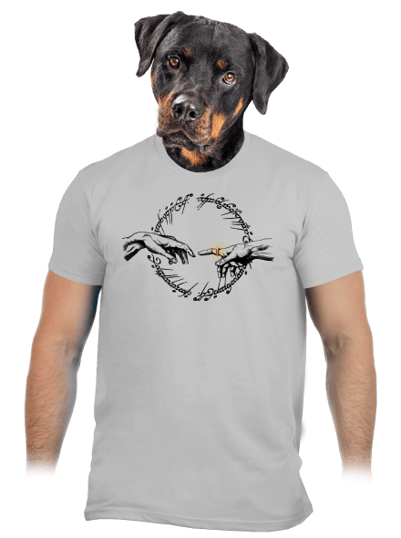 God of ring pánske tričko Pacific Grey