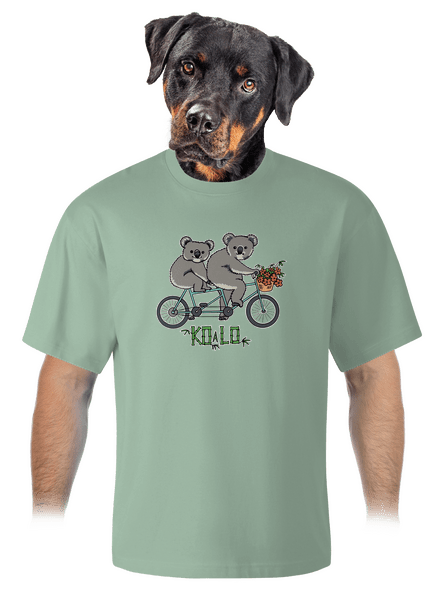 Koalo unisex tričko oversized Sage
