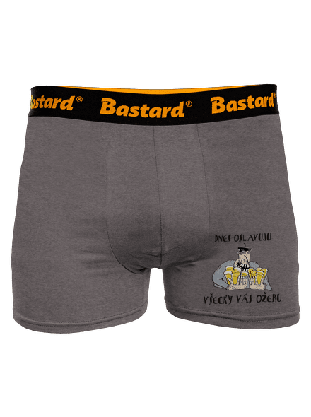 Dnes oslavujem boxerky Gray Melange