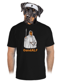 pánske športové tričko