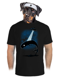 pánske športové tričko