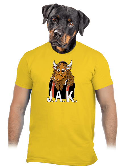 Jak pánske tričko Gold