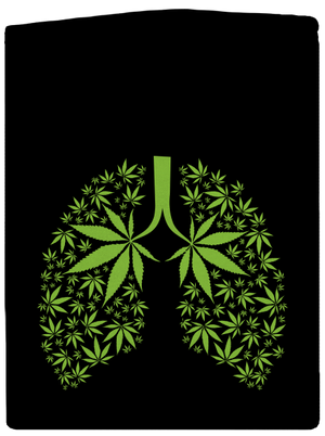 Ganja pľúca pánska mikina na zips Black