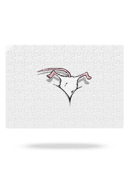 Myš vo výstrihu puzzle White