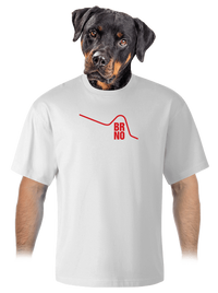 unisex tričko oversized