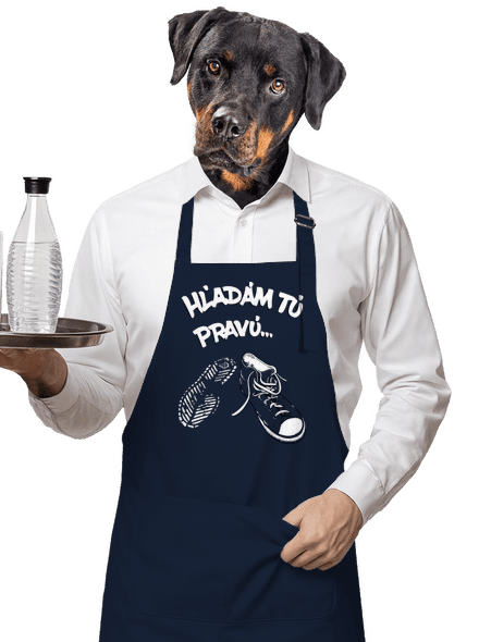 Hľadám tú pravú zástera Navy