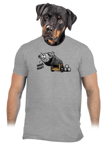 Chceš delo? pánske tričko Sport Grey