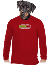 pánske dlhý rukáv