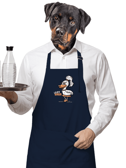 Lejdy Gaga zástera Navy