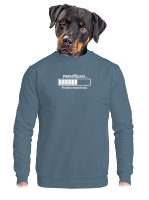 Premýšľam unisex mikina bez kapucne Nordic Blue