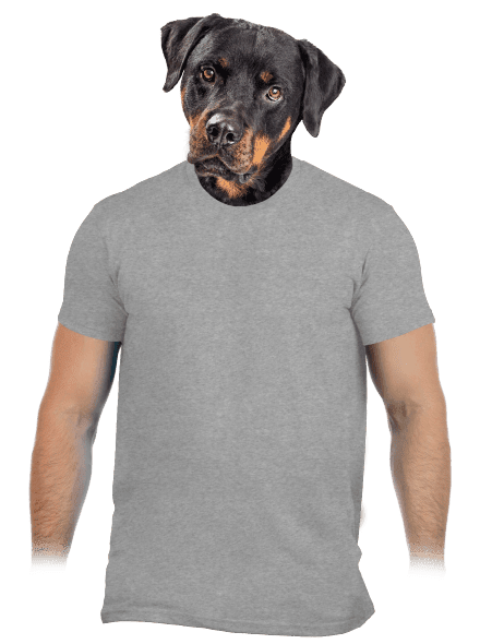 Bez potlače pánske tričko Sport Grey