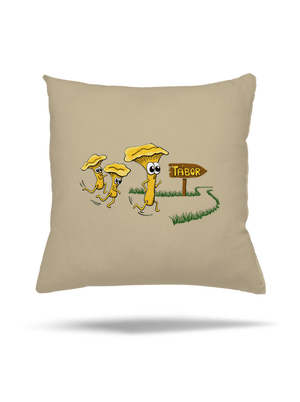 vankúš